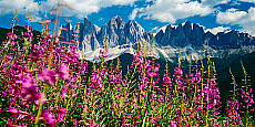 2001-277649-01
&copy; SIME