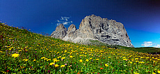 2001-277655-01
&copy; SIME