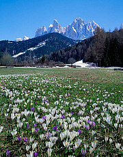 2001-277664-01
&copy; SIME