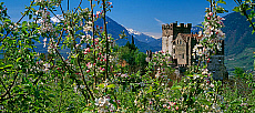 2001-277668-01
&copy; SIME