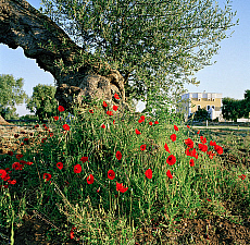 2001-277789-01
&copy; SIME