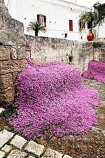 2001-277825-01
&copy; SIME