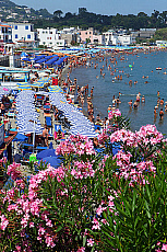 2001-278011-01
&copy; SIME