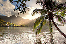 2001-278329-01
&copy; SIME