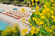 2001-278484-01
&copy; SIME
