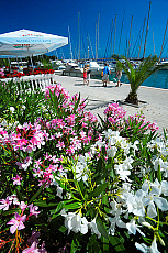 2001-279282-01
&copy; SIME