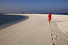 2001-279717-01
&copy; SIME