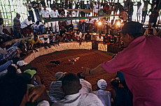 2001-279941-01
&copy; SIME