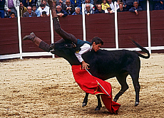 2001-279949-01
&copy; SIME