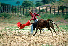 2001-279958-01
&copy; SIME