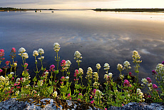 2001-237549-01
&copy; SIME