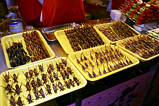 eStockPhoto Kabob Food Photos