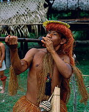 Quality stock photography from estockphoto of Yagua