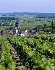 eStockPhoto Food Photos Of Reims
