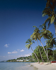 eStockPhoto Grand Anse Beach Travel Photos