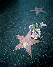 eStockPhoto Stock Photography Of Celebrities