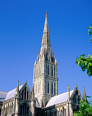 eStockPhoto Salisbury Food Photos