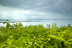 Quality stock photography from estockphoto of juneau