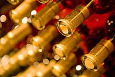 eStockPhoto Beringer Vineyard Travel Photos