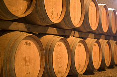 eStockPhoto Niebaum-coppola Winery Travel Photos