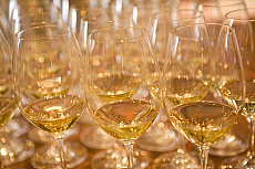 eStockPhoto Artesa Winery Travel Photos