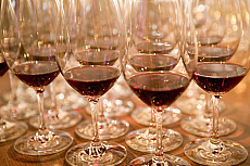eStockPhoto Artesa Winery Travel Photos