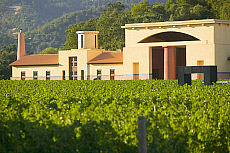 eStockPhoto Clos Pegase Winery Travel Photos