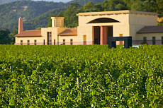 eStockPhoto Clos Pegase Winery Travel Photos
