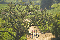 eStockPhoto Hess Winery Travel Photos