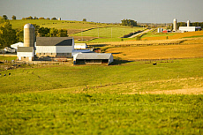 eStockPhoto Food Photos Of Silo-building