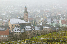 eStockPhoto Riquewihr Food Photos