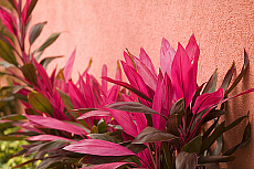 eStockPhoto Stock Photography Of Caicos