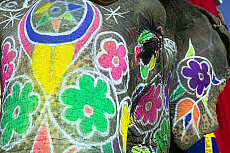 eStockPhoto Rajasthan State Travel Photos