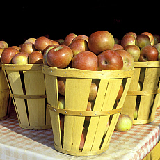 eStockPhoto Tablecloth Food Photos