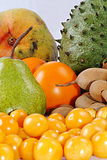 eStockPhoto Guanabana Food Photos