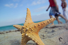 eStockPhoto Aspire Stock Photography