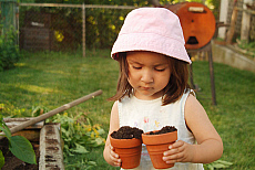 eStockPhoto Food Photos Of Seedling