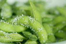 eStockPhoto food photos of Fresh