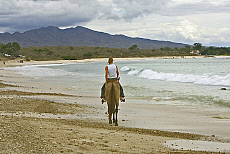 eStockPhoto Travel Photos Of Horse On Beach