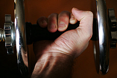 eStockPhoto Lifter Food Photos