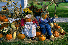 eStockPhoto Scarecrow Stock Photography