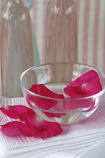 eStockPhoto Aromatherapy Food Photos