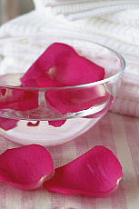 eStockPhoto Aromatherapy Food Photos