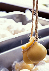 Quality stock photography from estockphoto of ice food