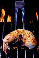 eStockPhoto Roasted Food Photos