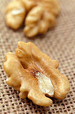 eStockPhoto Walnut Food Photos