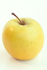 eStockPhoto Pectin Food Photos