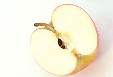 eStockPhoto Pectin Food Photos
