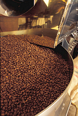 eStockPhoto Roasted Food Photos