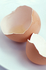 eStockPhoto Protein Food Photos
